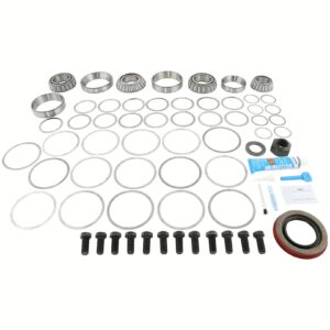 Dana 10043643 Bearing Kit
