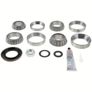 Dana 10055883 Differential Bearing Kit