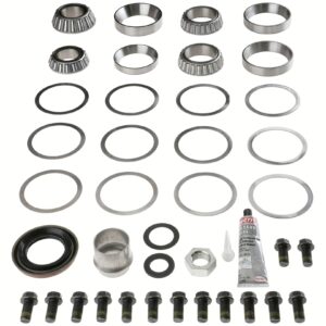 Dana 10055884 Differential Bearing Kit